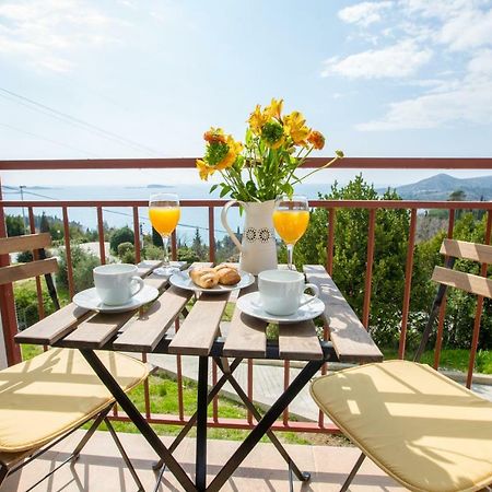 Villa Pergola-Apartment Toni Mlini Ngoại thất bức ảnh
